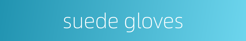 suede gloves的同义词