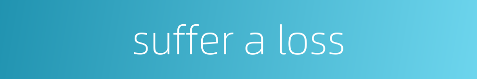 suffer a loss的同义词
