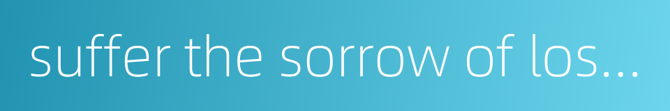 suffer the sorrow of losing one's son的同义词