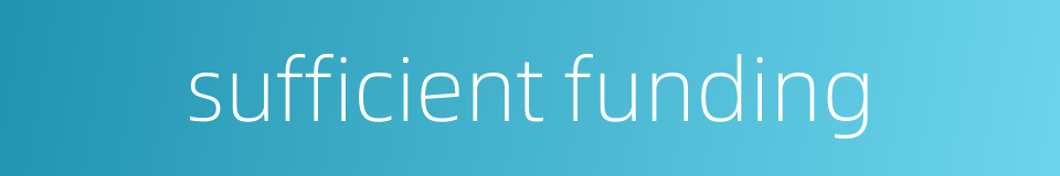 sufficient funding的同义词