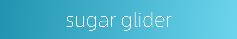 sugar glider的同义词