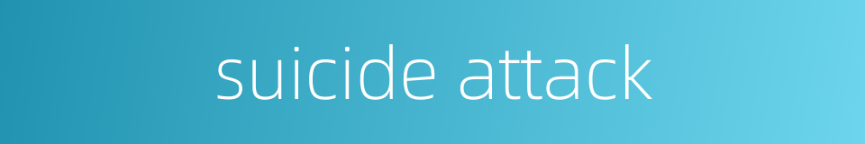 suicide attack的同义词