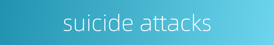 suicide attacks的同义词