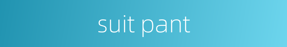 suit pant的同义词