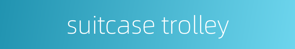 suitcase trolley的同义词