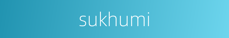 sukhumi的同义词