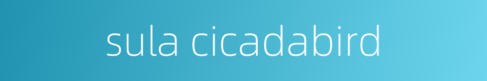 sula cicadabird的同义词