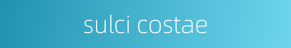 sulci costae的同义词