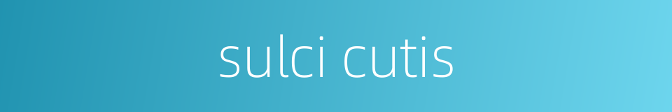 sulci cutis的同义词