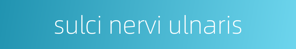sulci nervi ulnaris的同义词