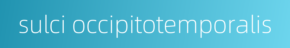 sulci occipitotemporalis的同义词