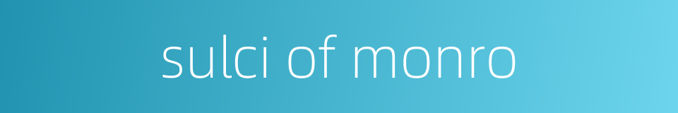 sulci of monro的同义词