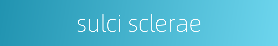 sulci sclerae的同义词