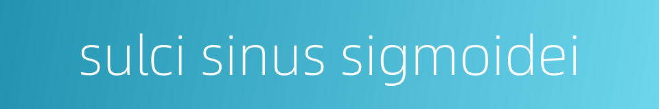 sulci sinus sigmoidei的同义词