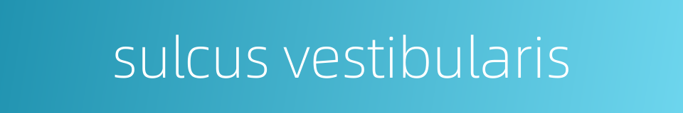 sulcus vestibularis的同义词