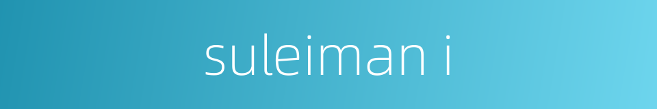 suleiman i的同义词
