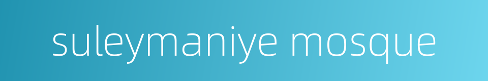 suleymaniye mosque的同义词