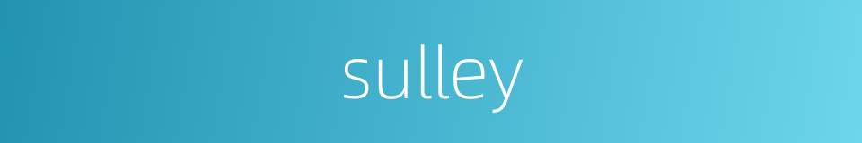 sulley的同义词