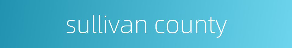 sullivan county的同义词