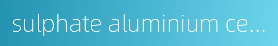 sulphate aluminium cement的同义词