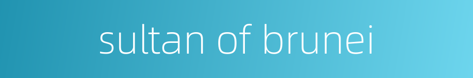 sultan of brunei的同义词