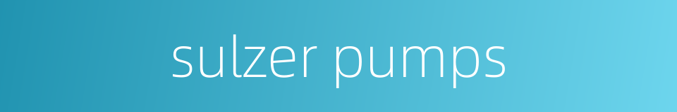 sulzer pumps的同义词