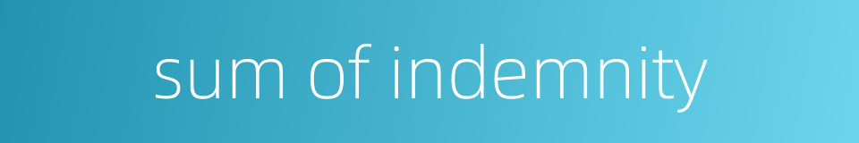 sum of indemnity的同义词