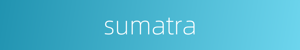 sumatra的意思