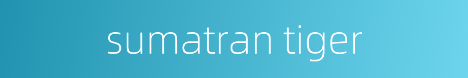 sumatran tiger的同义词