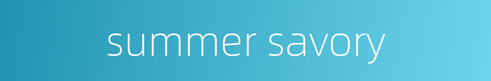 summer savory的同义词