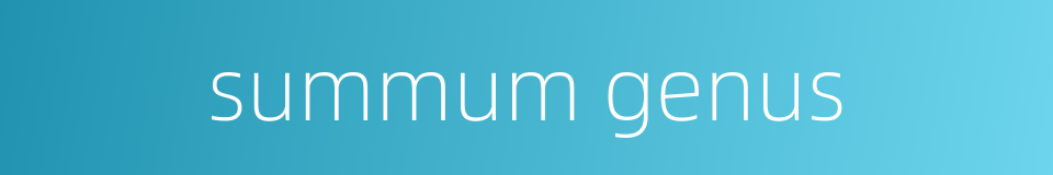 summum genus的同义词