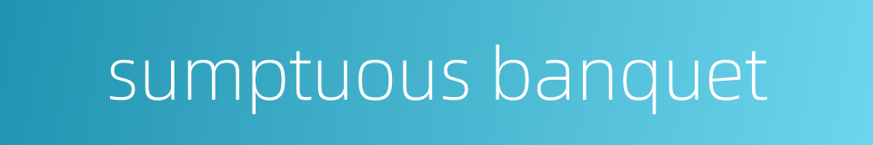 sumptuous banquet的同义词