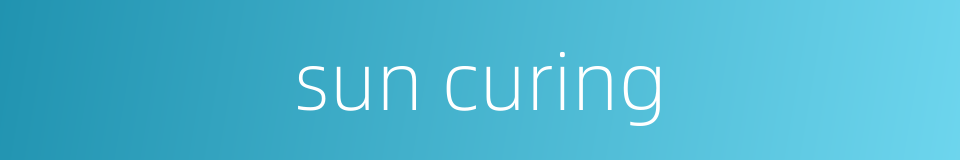 sun curing的同义词