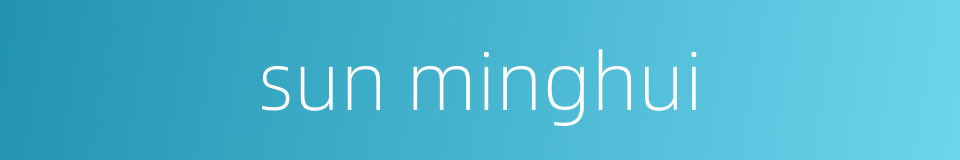 sun minghui的同义词