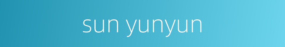 sun yunyun的同义词