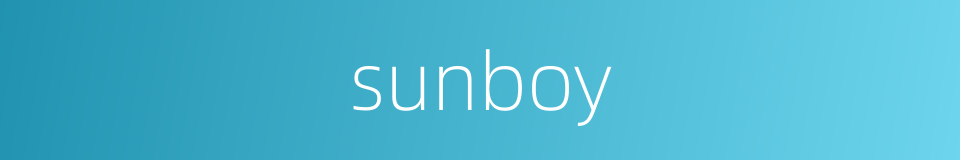 sunboy的同义词
