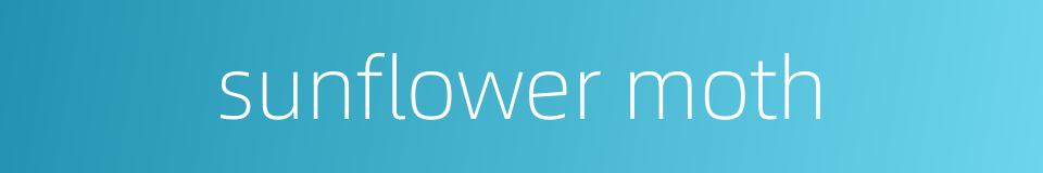 sunflower moth的同义词