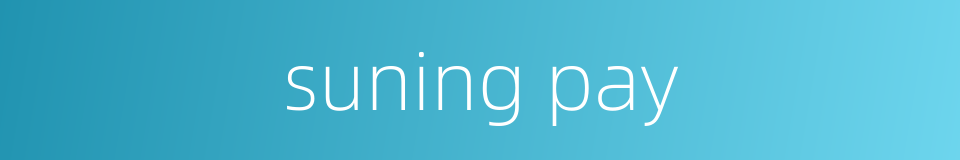 suning pay的同义词