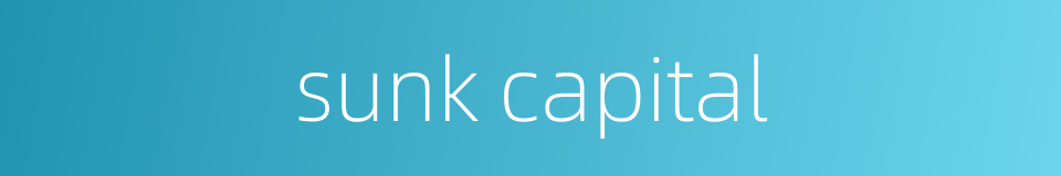 sunk capital的同义词