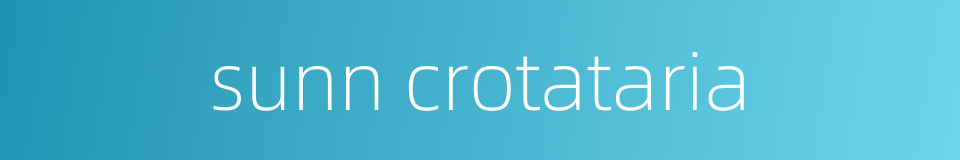 sunn crotataria的同义词