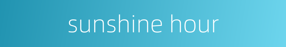 sunshine hour的同义词