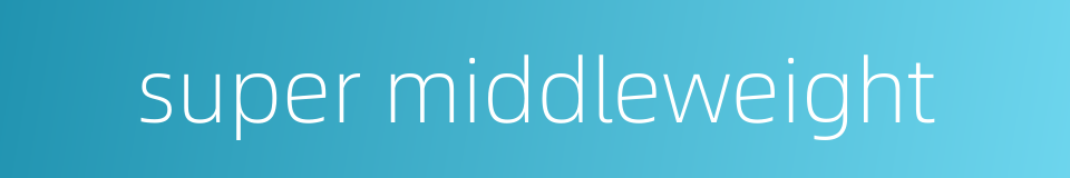 super middleweight的同义词