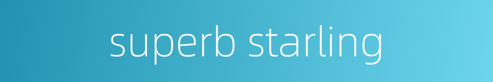 superb starling的同义词
