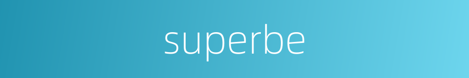 superbe的同义词