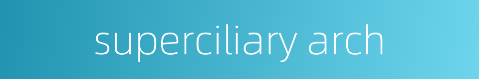 superciliary arch的同义词