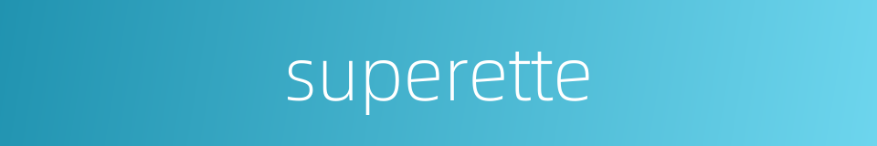 superette的同义词
