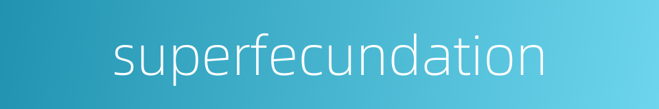 superfecundation的同义词