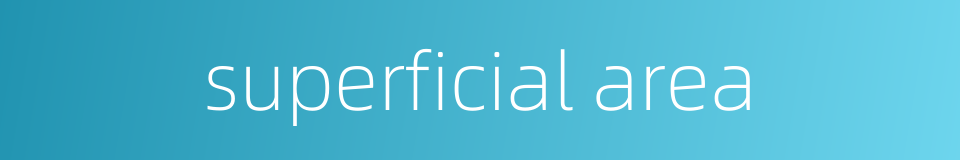 superficial area的同义词