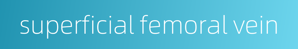 superficial femoral vein的同义词