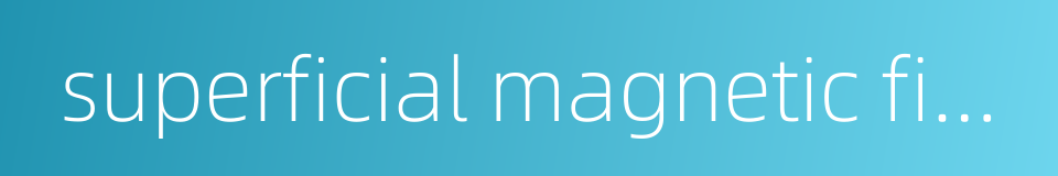 superficial magnetic field的同义词
